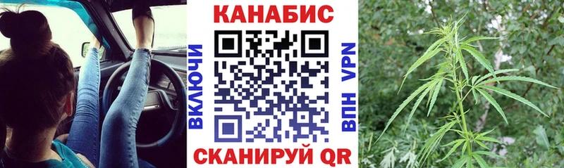 Марихуана THC 21%  Купить  Южно-Сухокумск 